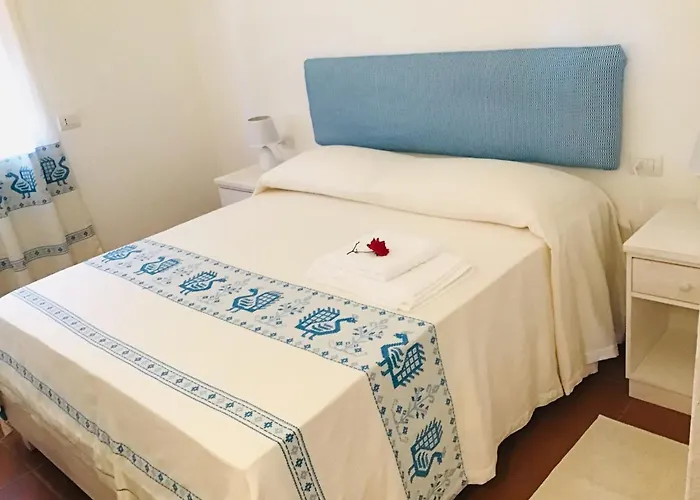 L'asfodelo La Maddalena (Sassari)